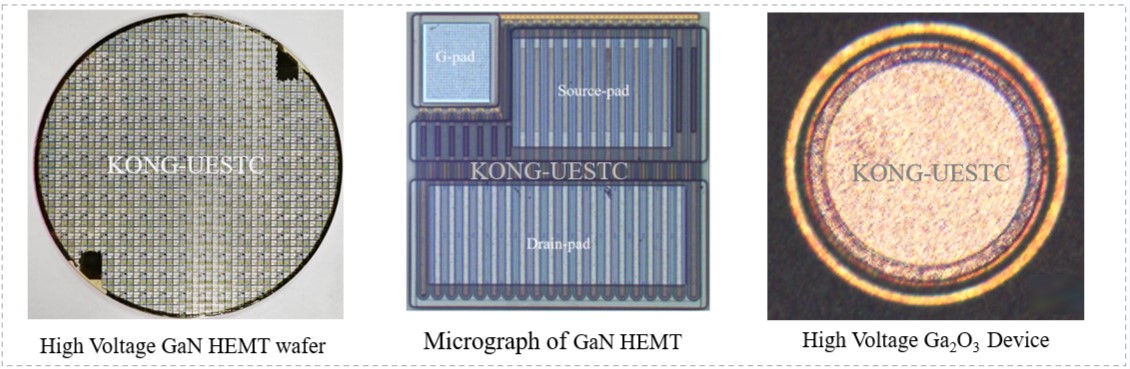 GaN HEMT and Ga2O3 Diode